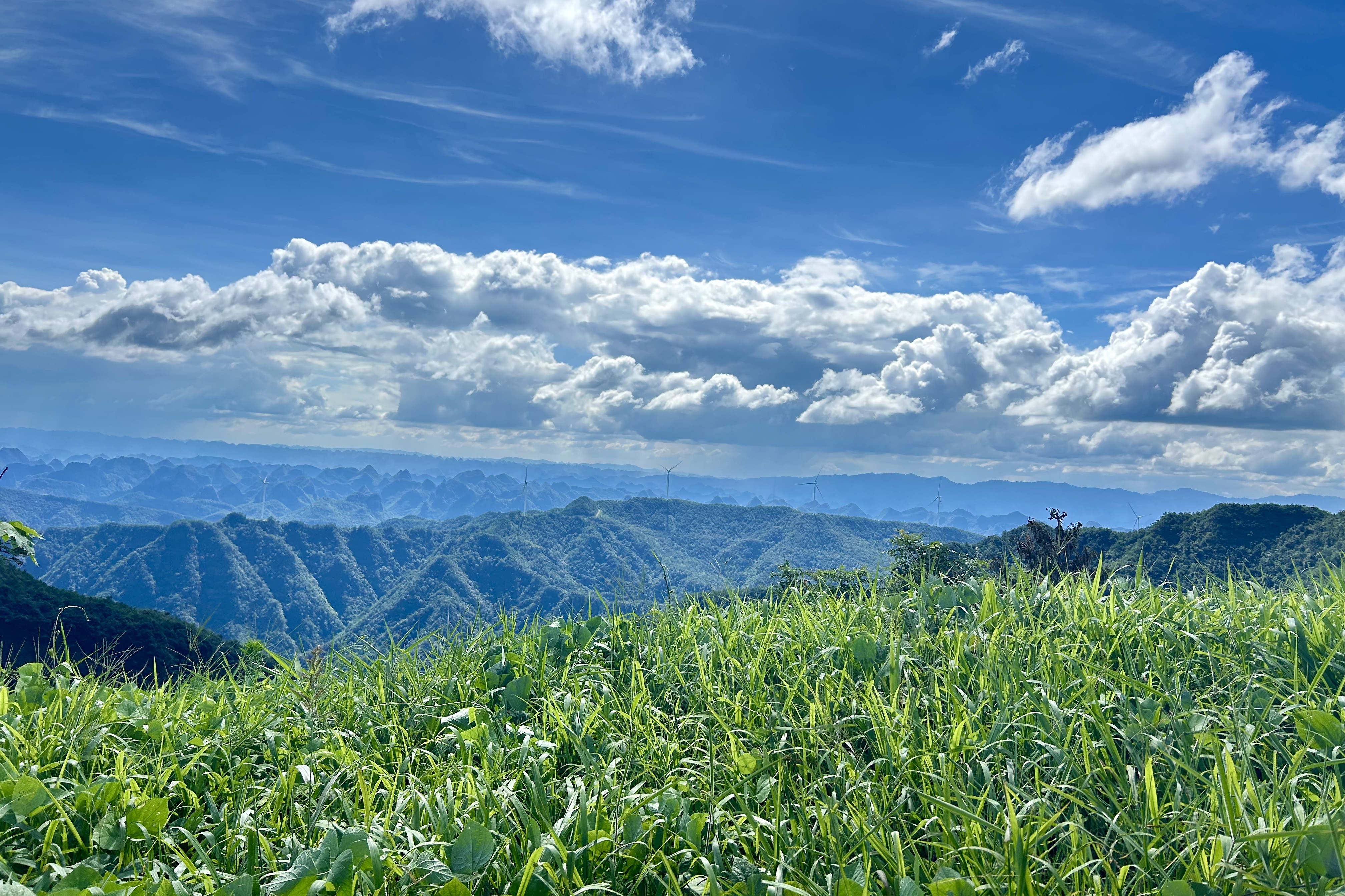 1760606336766088263.jpg 图为修复后的国华投资登云山风电场.jpg