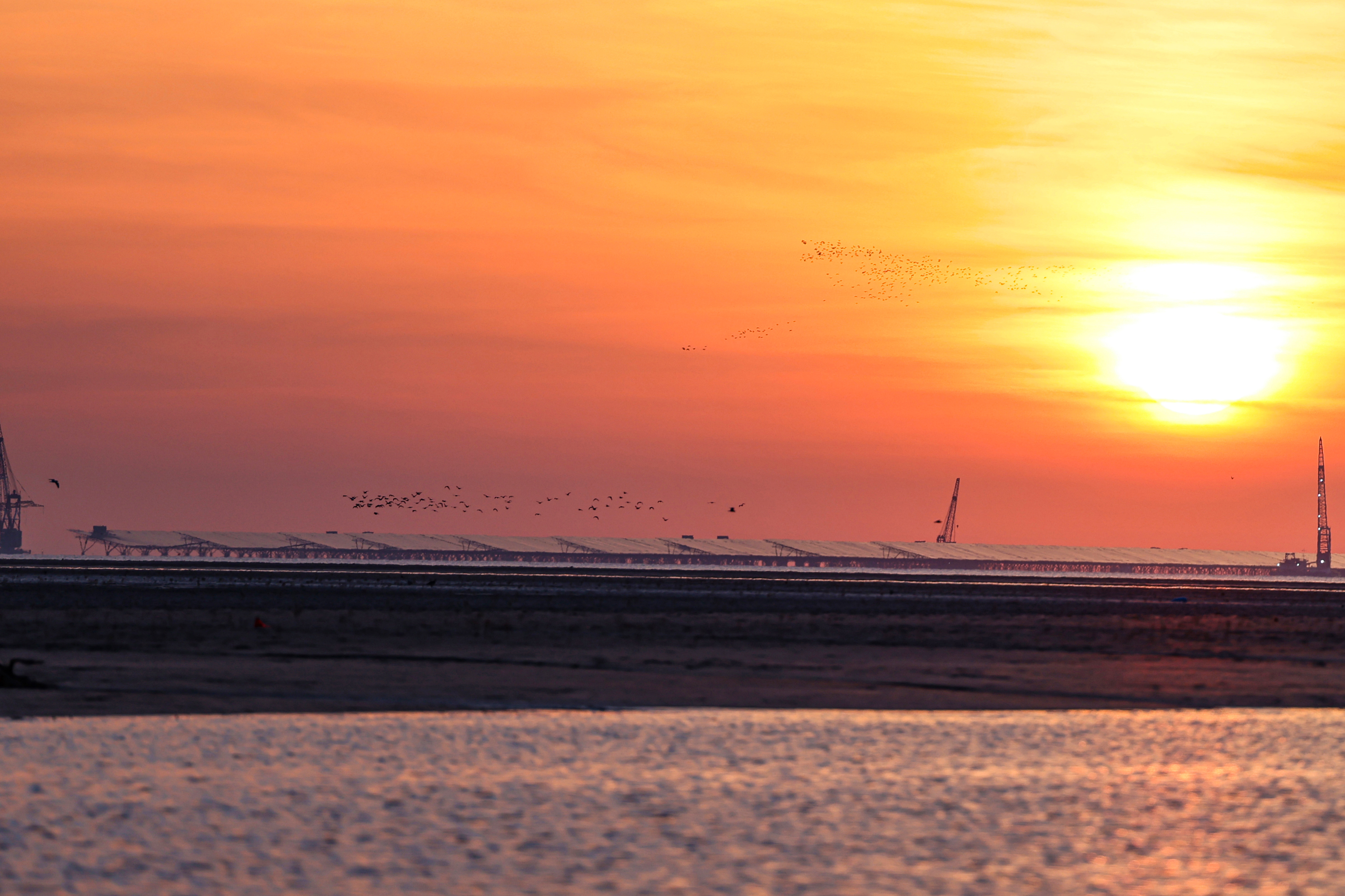 1761204527779049399.jpg 138a2ade2ba44693d9af3c353426b418.jpg